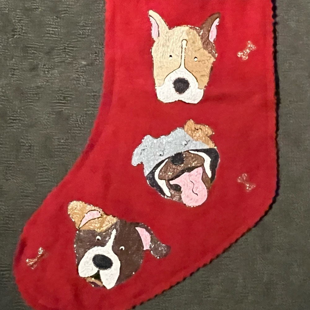 Dog stocking